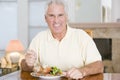 Man Enjoying Healthy meal, mealtime Royalty Free Stock Photo