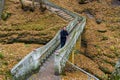 Man enjoys the view of an autumn forest in the wild on a footbridge with a walking path. Background with copy space Royalty Free Stock Photo