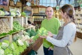 Man enquiring about Romanesco broccoli Royalty Free Stock Photo