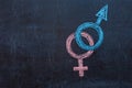 Man is equal to woman. The symbol of gender equality on the chalk Board Royalty Free Stock Photo