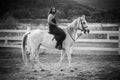 Man equestrian on his horse riding at nature. Attractive man sitting on white horse on the ranch in autumn. Full length Royalty Free Stock Photo