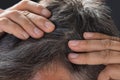 Man Examining His White Hair Royalty Free Stock Photo