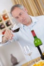 Man examining the wine Royalty Free Stock Photo