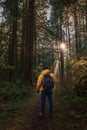 Explorer male in green rainy forest. Male hiker in rain forest. Survival travel, lifestyle concept