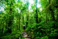 Man exploring Basse Terre jungle in Guadeloupe