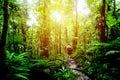 Man exploring Basse Terre`s jungle in Guadeloupe