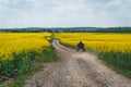 Man extreme sport riding touring enduro motorcycle on dirt. beautiful yellow field of flowers. World adventure rider. Tourist bike Royalty Free Stock Photo