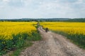 Man extreme sport riding touring enduro motorcycle on dirt. beautiful yellow field of flowers. World adventure rider. Tourist bike Royalty Free Stock Photo