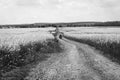 Man extreme sport riding touring enduro motorcycle on dirt. beautiful yellow field of flowers. World adventure rider. Tourist bike