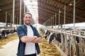 Man or farmer with cows in cowshed on dairy farm Royalty Free Stock Photo