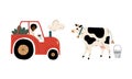 Man Farmer Driving Tractor and Grazing Milk Cow Vector Set Royalty Free Stock Photo