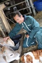 Man farmer feeding and petting cows