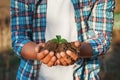 Man farmer holding young plant in hands against spring background. Earth day Ecology concept. Close up selective focus on Person h Royalty Free Stock Photo