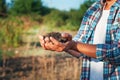 Man farmer holding young plant in hands against spring background. Earth day Ecology concept. Close up selective focus on Person h Royalty Free Stock Photo