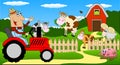 The man is a farmer on a tractor and cows on the meadow Royalty Free Stock Photo