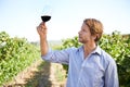 Man, farmer and vineyard with glass of wine for quality control, agriculture and sustainable winery. Vintage, red drink Royalty Free Stock Photo