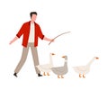 Man Farmer with Whip Punching Geese Vector Illustration