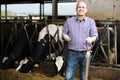 Man farmer working in cowshed