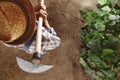 Man farmer working with hoe in vegetable garden, hoeing the soil