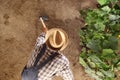 Man farmer working with hoe in vegetable garden, hoeing the soil near a cucumber plant, top view copy space template
