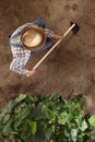 Man farmer working with hoe in vegetable garden, hoeing the soil Royalty Free Stock Photo