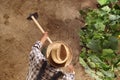 Man farmer working with hoe in vegetable garden, hoeing the soil Royalty Free Stock Photo