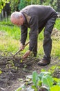 Man farmer working with hoe in vegetable garden Royalty Free Stock Photo