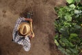 Man farmer working with pitchfork in vegetable garden, dig the s