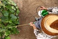 Man farmer working in vegetable garden, pesticide sprays on plan