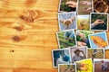 Man in farming and agriculture, photo collage with copy space Royalty Free Stock Photo