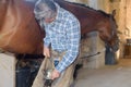 Man farrier shoeing horse