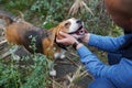 Man with favorit beagle dog pet handsome outdoors