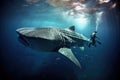 A man fearlessly swims side by side with a massive whale in the vast expanse of the open ocean, Whale shark and underwater Royalty Free Stock Photo