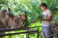 Man feeding the big rhino in the zoo Royalty Free Stock Photo