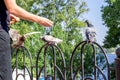 Man feeding breeding city pigeon with arm in parkway Royalty Free Stock Photo