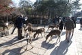 Man feeding deer in Nara Park