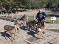 Man feeding deer in Nara Park