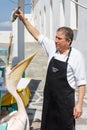 Man feeding fish to pelican