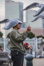 A man feeding a flock of seagulls in the Yokohama port. Birds in the city.