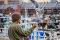 A man feeding a flock of seagulls in the Yokohama port. Birds in the city.