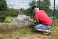 Man Feeding a Goat Royalty Free Stock Photo