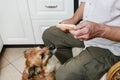 Man feeding his dog Royalty Free Stock Photo