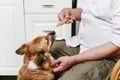 Man feeding his dog Royalty Free Stock Photo