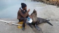 A man feeding his pet seal fresh fish