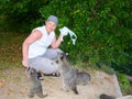 The man is feeding raccoons. Domestication of wild animals. Royalty Free Stock Photo