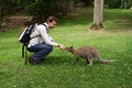 Man feeding small kangaroo