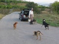 Man feeding Stray Dogs