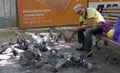 A man feeds birds and pigeons at the park