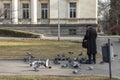 A man feeds birds and pigeons at the park