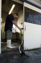 Man feeds cormorant